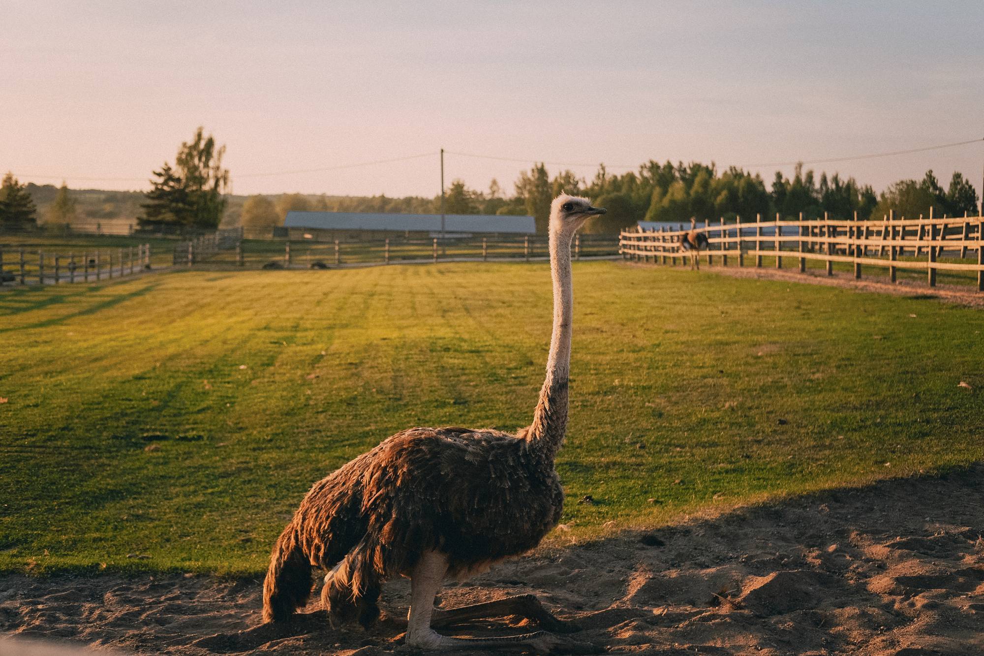 Обложка для баннера Псковская область